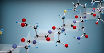 Formation of polypeptide