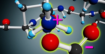 Formation of ionic bonds in polypeptide