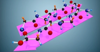 DNA replication process