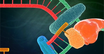DNA replication process