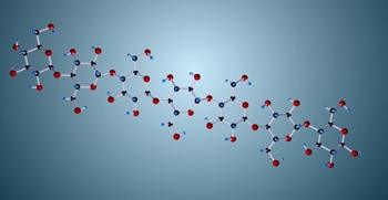 DNA replication process