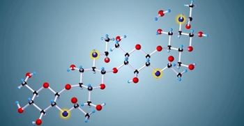 DNA replication process