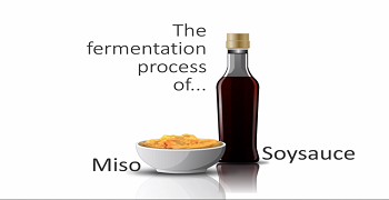 Soysauce