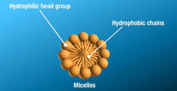 DNA replication process