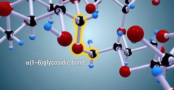 DNA replication process