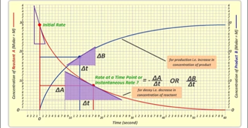 DNA replication process