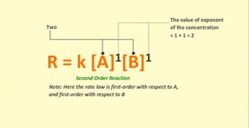 DNA replication process
