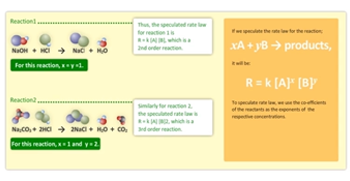 DNA replication process