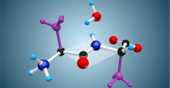 Binding of amino acid